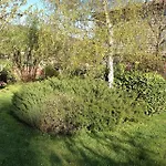 Les Jardins D'anna - D'hotes Frühstückspension Tapon