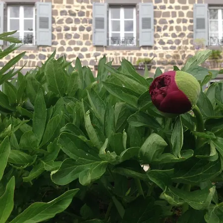 Bed & Breakfast Les Jardins D'anna - D'hotes Tapon