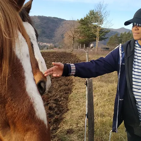 Les Jardins D'anna - D'hotes 3* Tapon